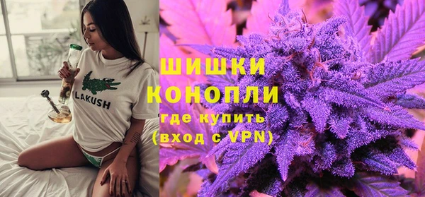 ПСИЛОЦИБИНОВЫЕ ГРИБЫ Вязники