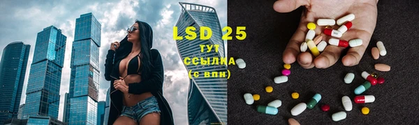 ПСИЛОЦИБИНОВЫЕ ГРИБЫ Вязники