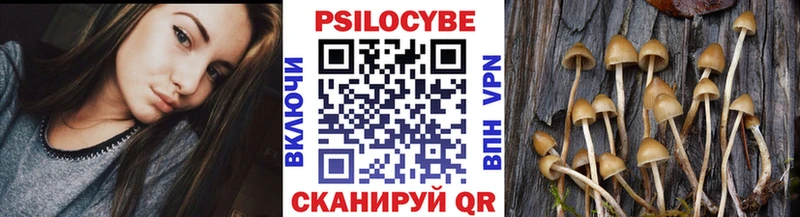 OMG сайт  Железноводск  Псилоцибиновые грибы мухоморы 